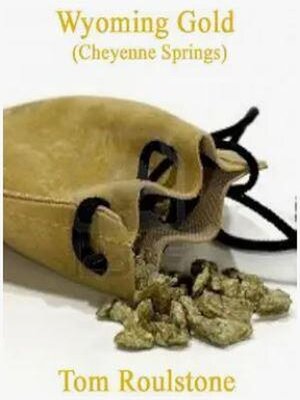 cover image of Wyoming Gold